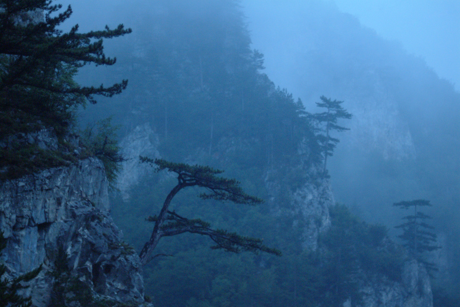 Mountain view from Bulgaria